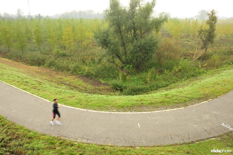 Grote Vijver deel 1 in het Zennegat