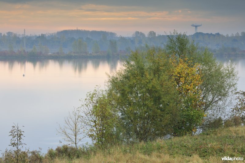 Grote Vijver deel 2 in het Zennegat