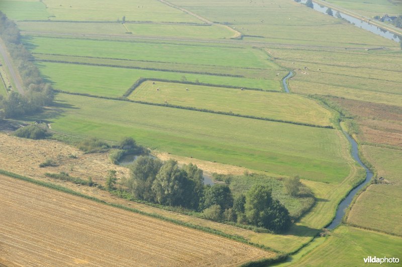 Oude jachtput van Joinville