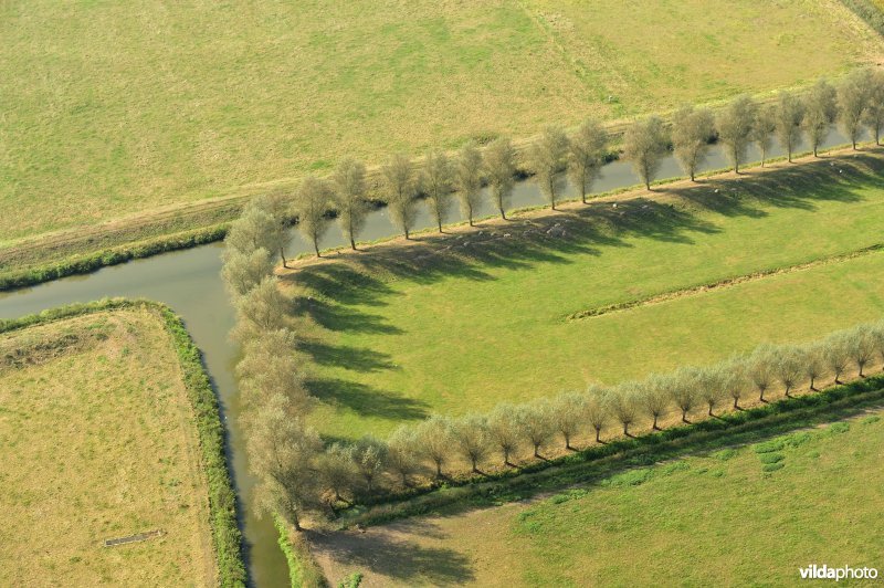 Oude Zarrenbeek