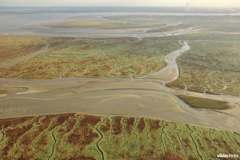 Verdronken land van Saeftinghe