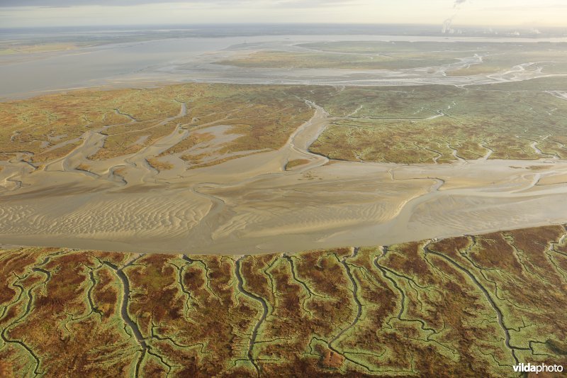 Verdronken land van Saeftinghe