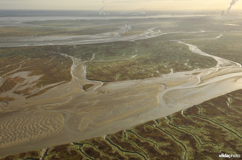 Verdronken land van Saeftinghe