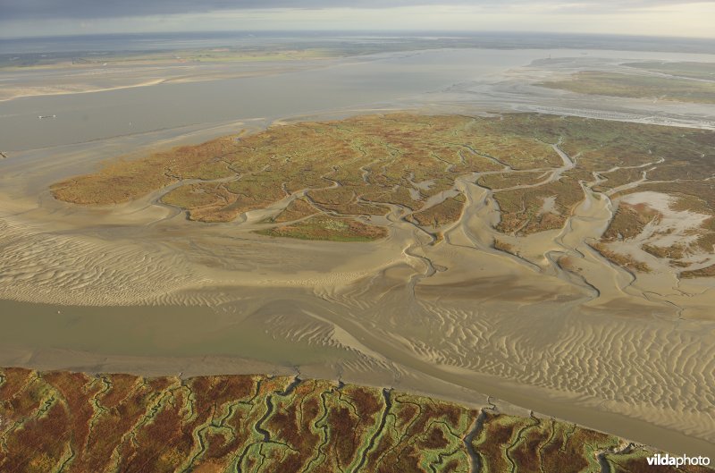 Verdronken land van Saeftinghe
