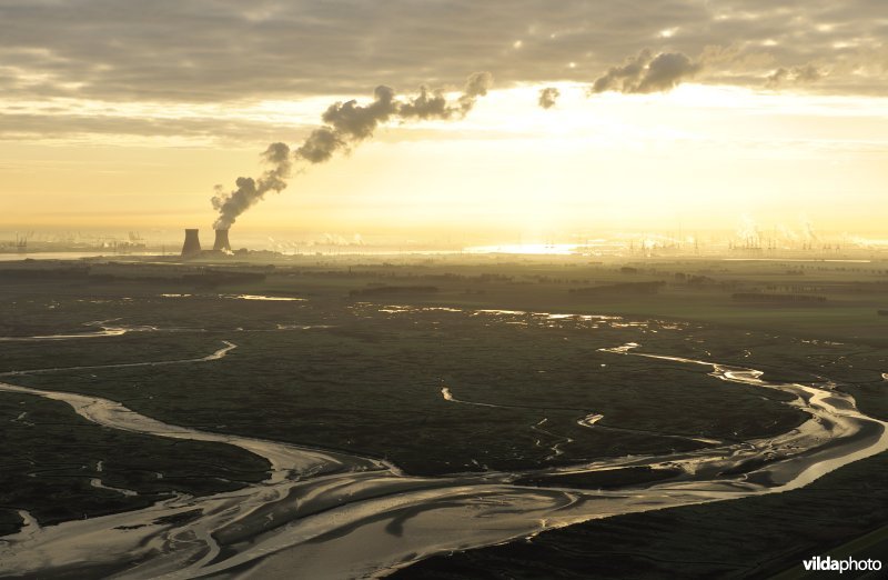 Verdronken land van Saeftinghe