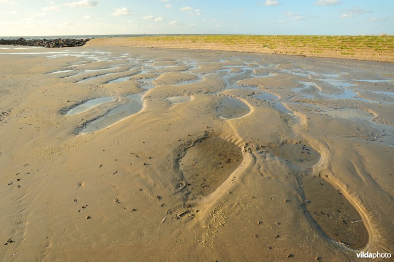 Noordzeestrand en golfbreker