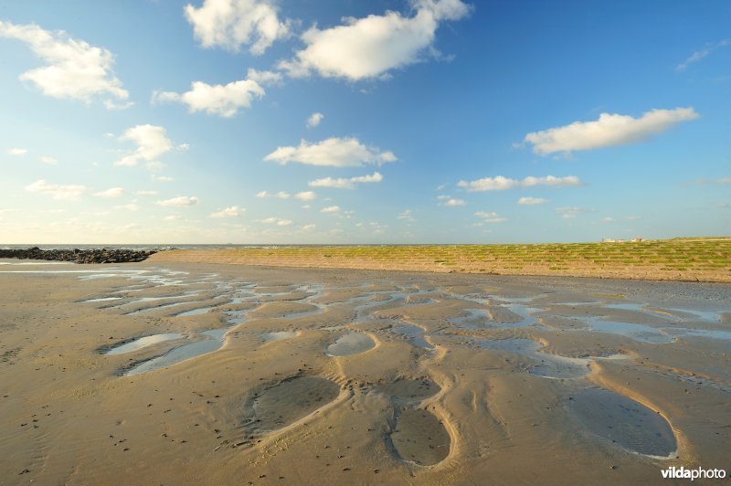 Noordzeestrand