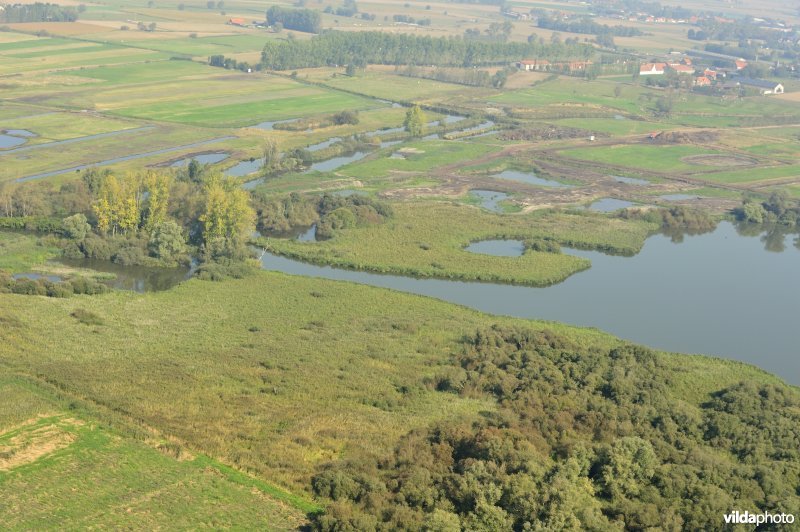 Natuurreservaat De Blankaart