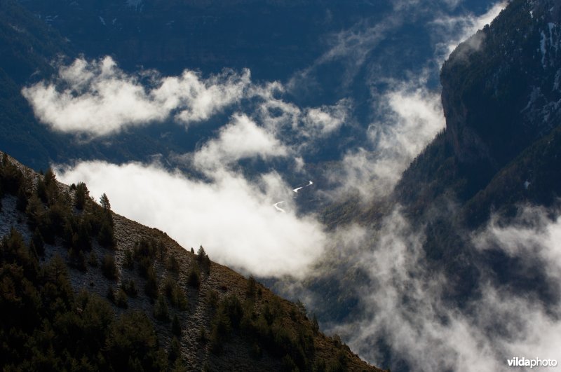 Landschap in de Pyreneeën