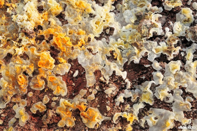 Zwavelafzetting in Krafla