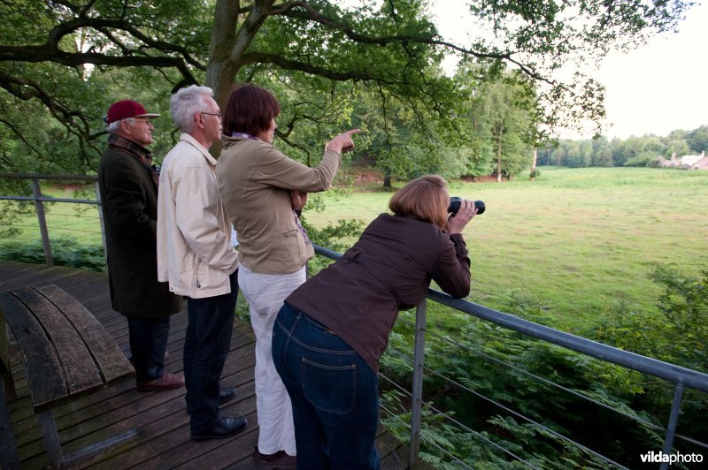 Wilde dieren kijken