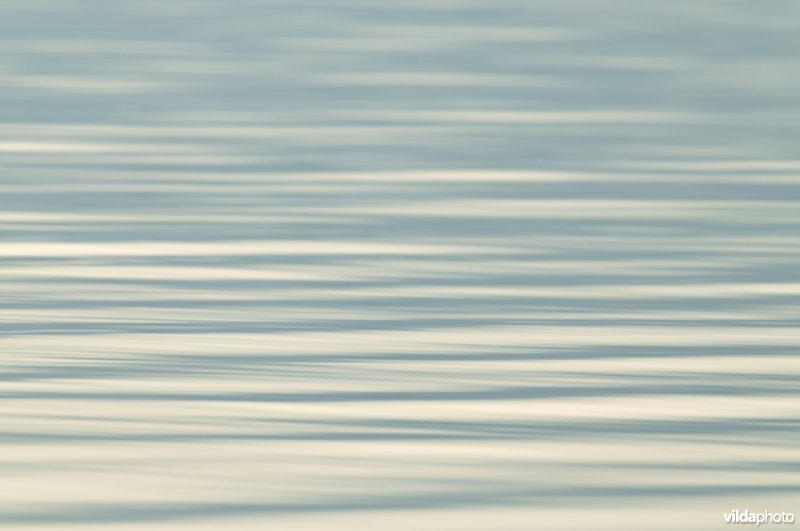 Rimpels op het water