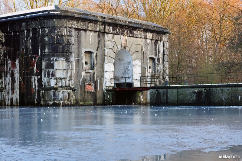 Fort Oelegem