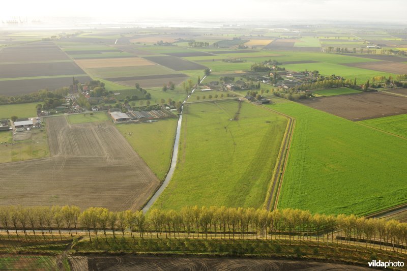 Zeedijk van de Prosperpolder