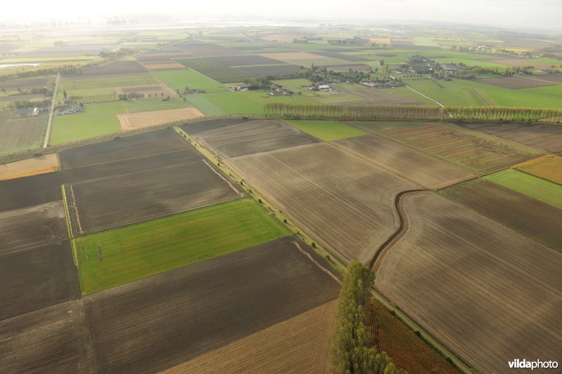 Hedwige en Prosperpolder en Prosperdorp