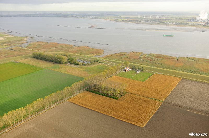 Hedwigepolder en Zeeschelde