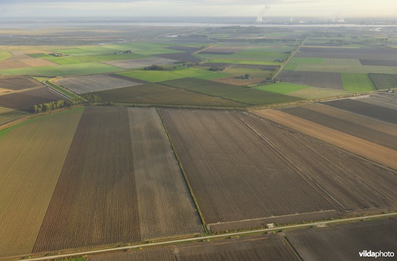  Prosperpolder