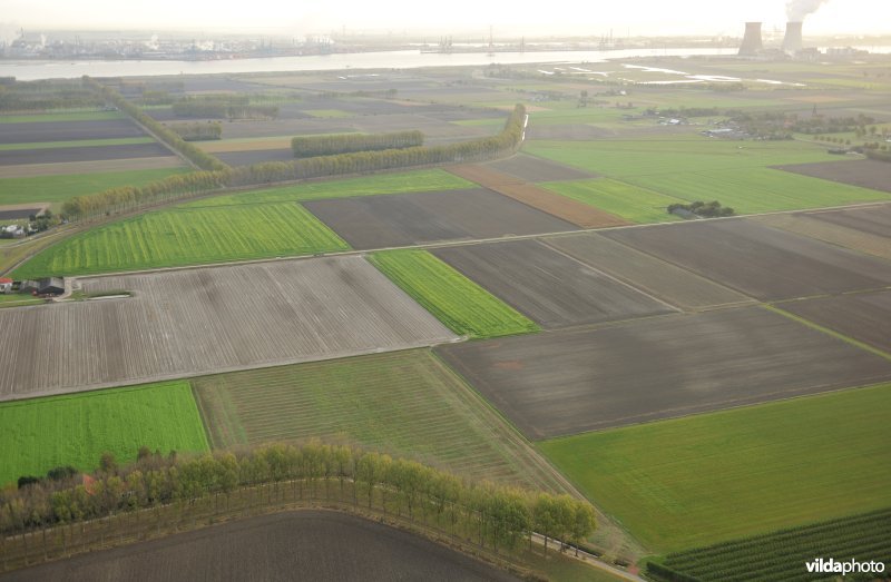 Hedwige en Prosperpolder