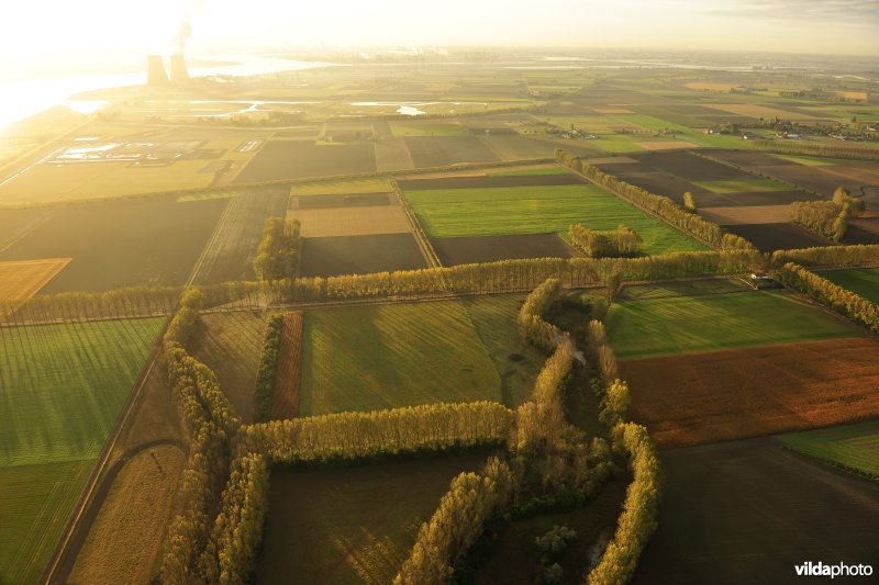 Hedwigepolder