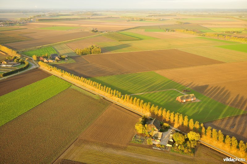 Muggenhoekdijk in de Prosperpolder