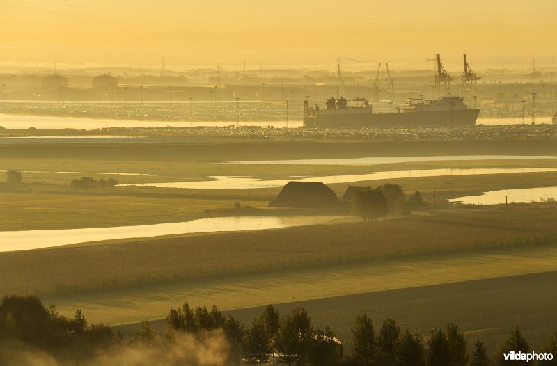 Doelpolder en Scheldehaven