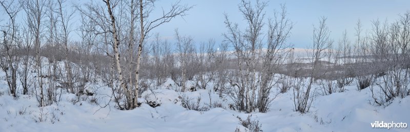 Panorama van Abisko, Sweden