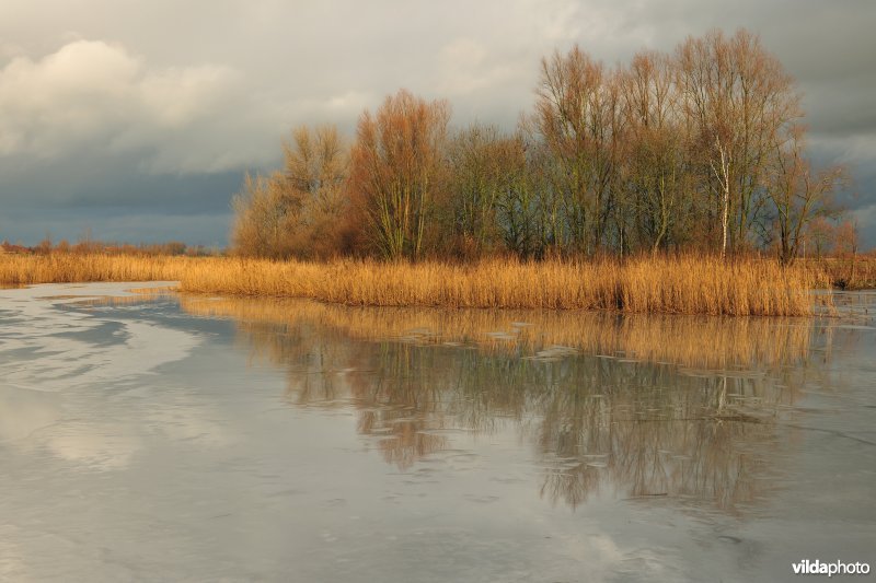 Oude jachtput van Joinville