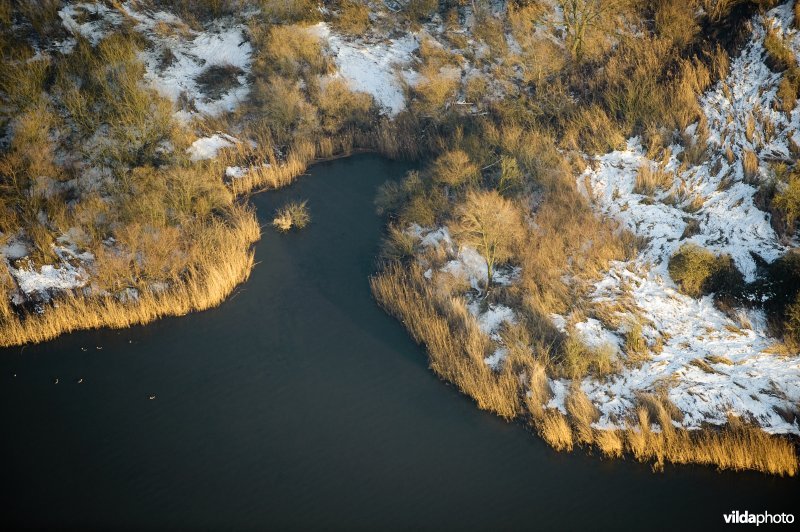 De Biesbosch
