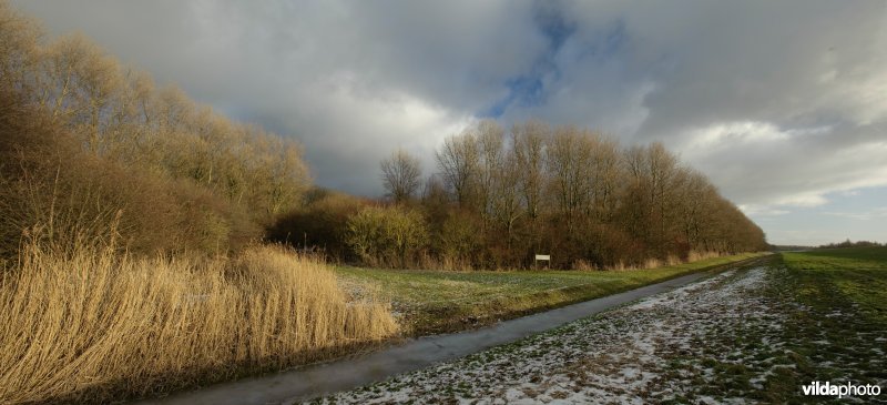 Hollandse Hout