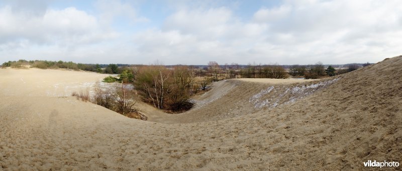 Zandverstuivingslandschap