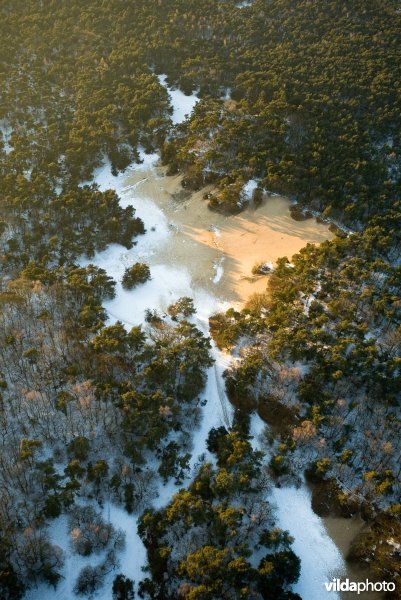 Luchtfoto Loonse en Drunense Duinen