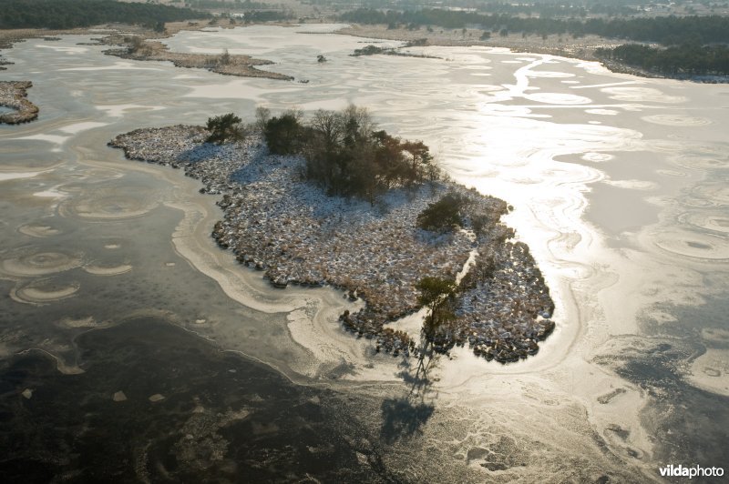 Luchtfoto van het Stappersven in het Grenspark De Zoom-Kalmthoutse Heide