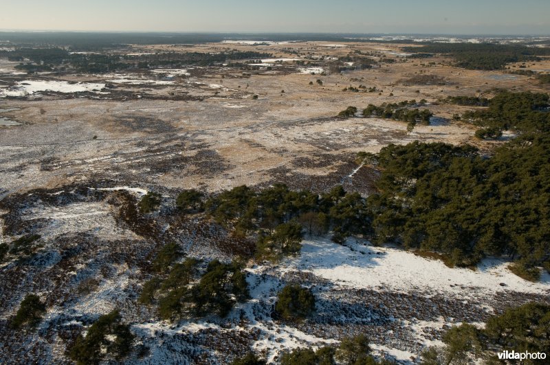 Luchtfoto van de Kalmthoutse Heide