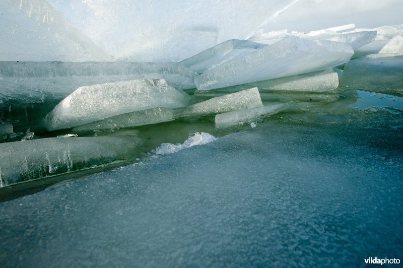 Kruiend ijs aan dijk langs het IJsselmeer