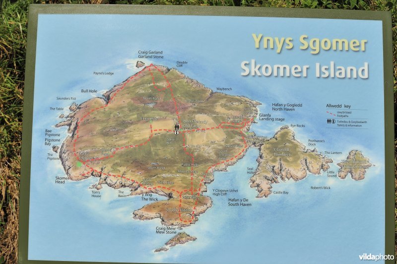 Kaart van Skomer