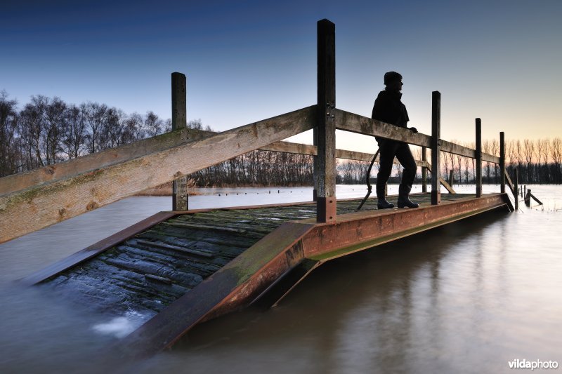 Overstroomde IJzervallei