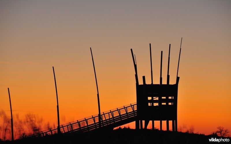 Vogelkijktoren in de Zwaanhoek