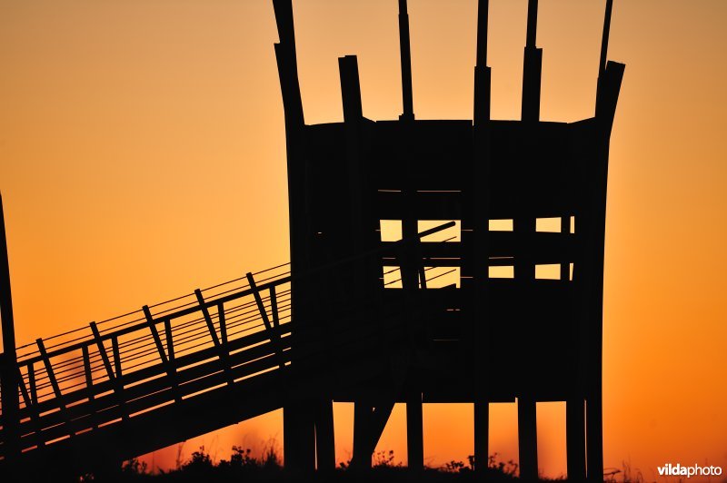Vogelkijktoren in de Zwaanhoek
