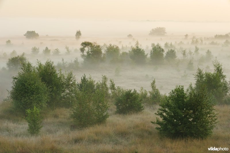 Groot schietveld