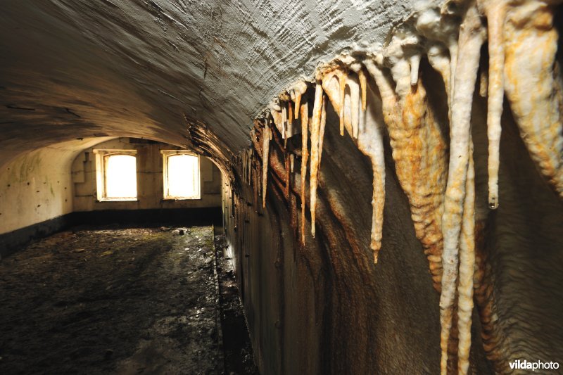 Fort Oelegem