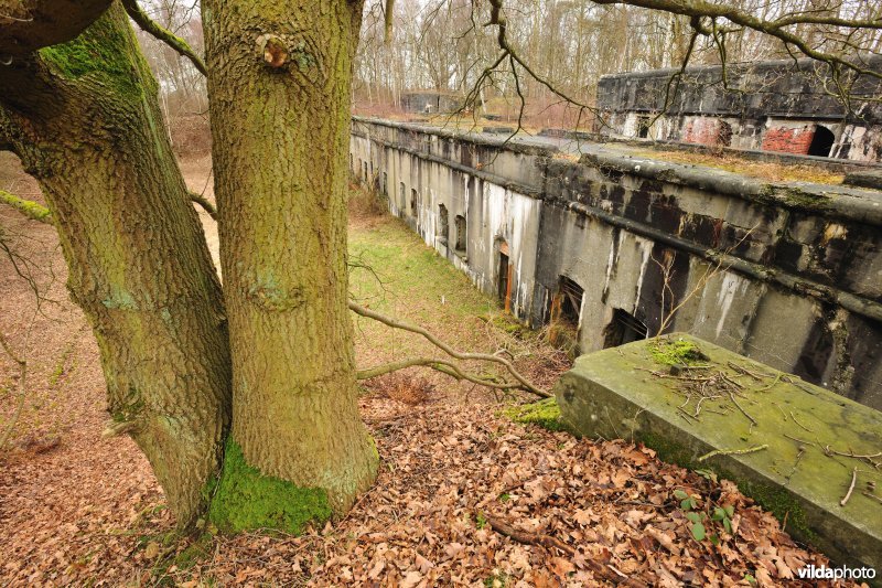 Fort Oelegem