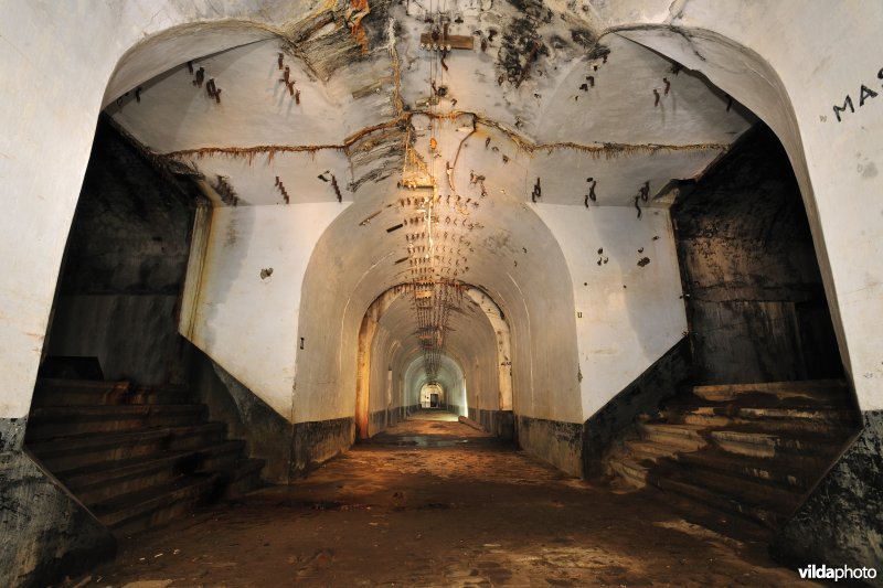Fort Oelegem