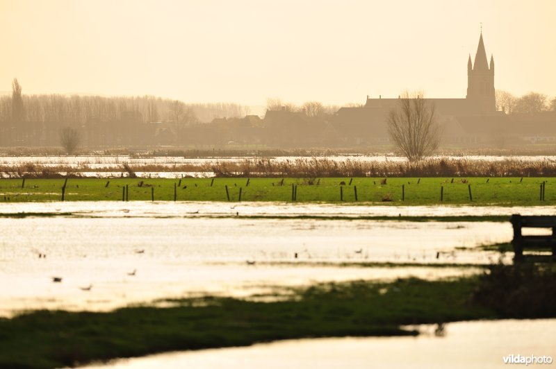 Overstroomde Noordschotebroek