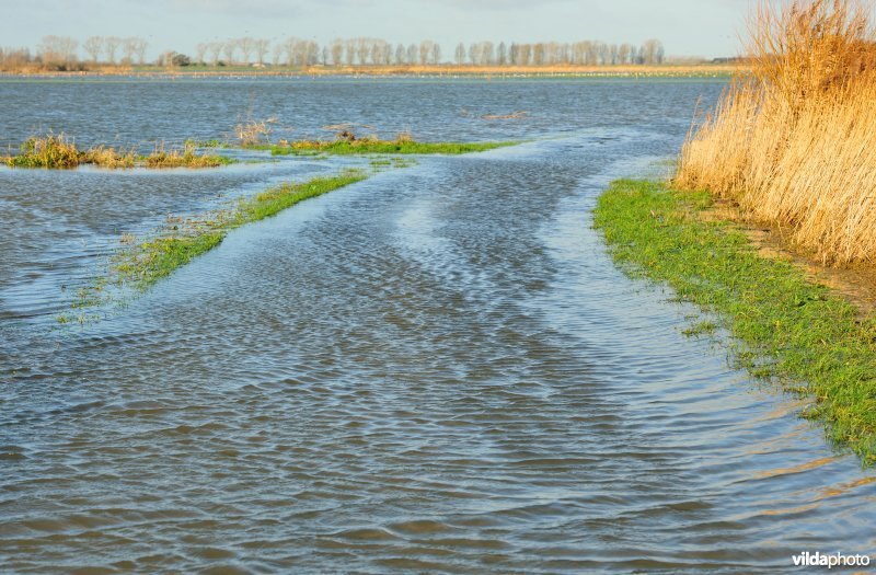 Overstroomde Noordschotebroek