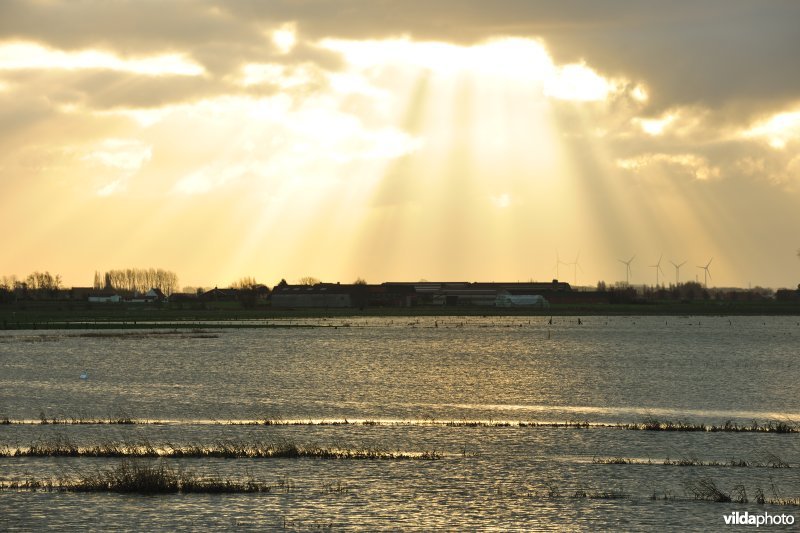 Overstroomde Noordschotebroek