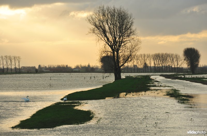 Overstroomde Noordschotebroek