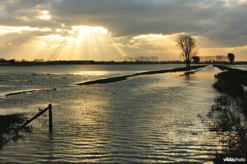 Overstroomde Noordschotebroek