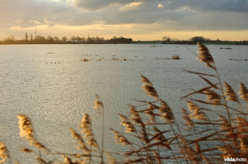 Overstroomde Rioolbroek
