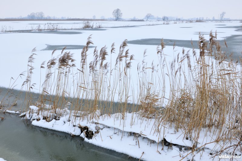 Winterse Rillebroeken