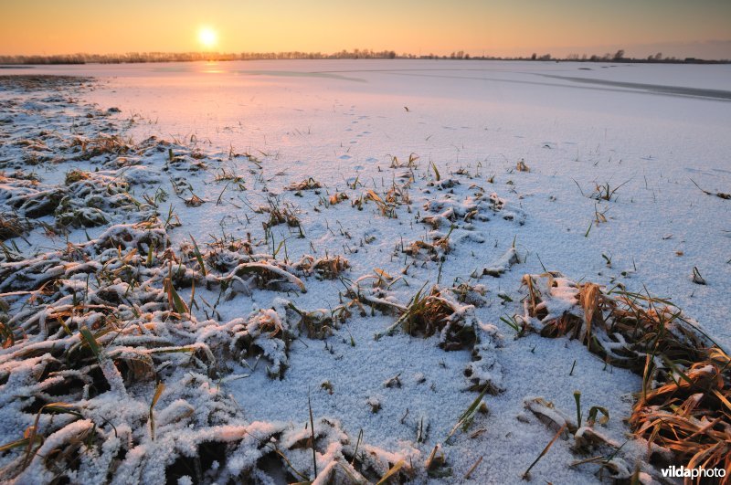 Winterse Merkembroeken